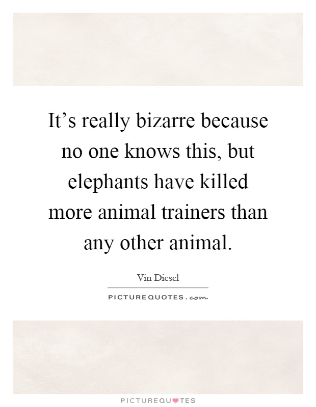 It's really bizarre because no one knows this, but elephants have killed more animal trainers than any other animal Picture Quote #1