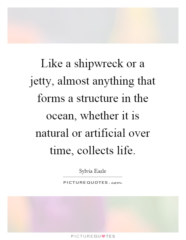 Like a shipwreck or a jetty, almost anything that forms a structure in the ocean, whether it is natural or artificial over time, collects life Picture Quote #1
