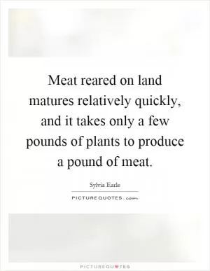 Meat reared on land matures relatively quickly, and it takes only a few pounds of plants to produce a pound of meat Picture Quote #1