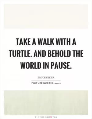 Take a walk with a turtle. And behold the world in pause Picture Quote #1