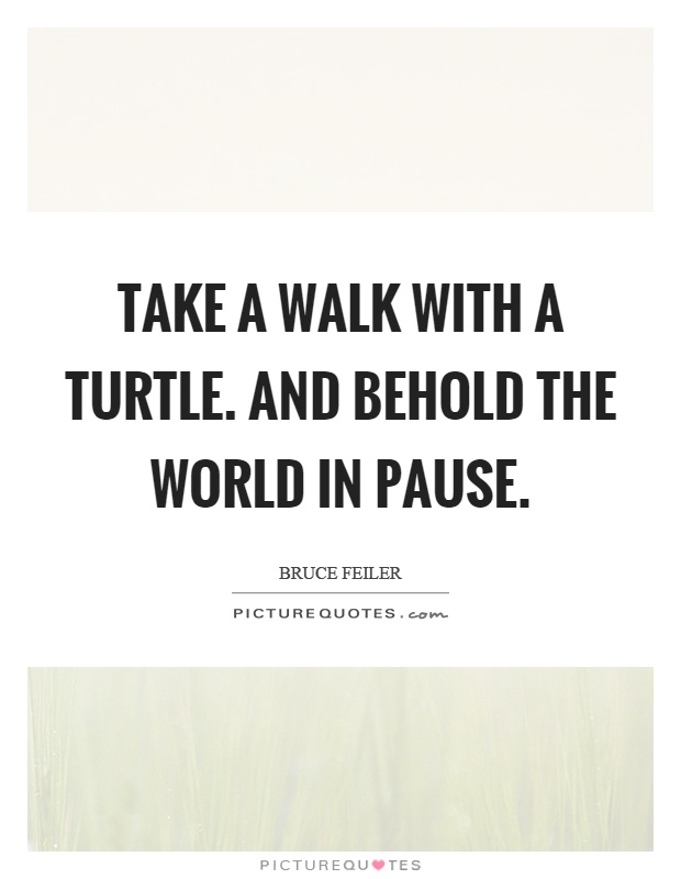Take a walk with a turtle. And behold the world in pause Picture Quote #1
