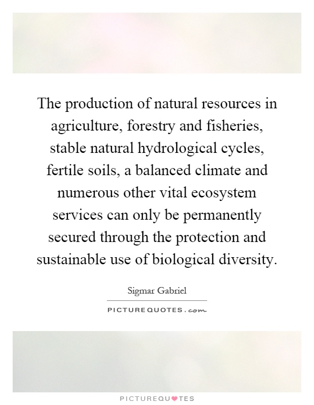 The production of natural resources in agriculture, forestry and fisheries, stable natural hydrological cycles, fertile soils, a balanced climate and numerous other vital ecosystem services can only be permanently secured through the protection and sustainable use of biological diversity Picture Quote #1