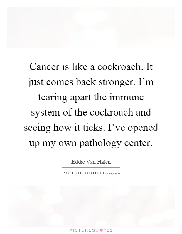 Cancer is like a cockroach. It just comes back stronger. I'm tearing apart the immune system of the cockroach and seeing how it ticks. I've opened up my own pathology center Picture Quote #1