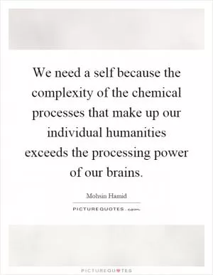 We need a self because the complexity of the chemical processes that make up our individual humanities exceeds the processing power of our brains Picture Quote #1
