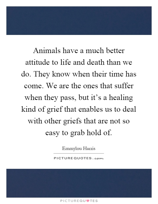 Animals have a much better attitude to life and death than we do. They know when their time has come. We are the ones that suffer when they pass, but it's a healing kind of grief that enables us to deal with other griefs that are not so easy to grab hold of Picture Quote #1