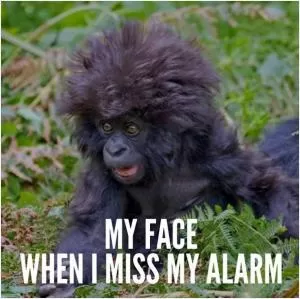 My face when I miss my alarm Picture Quote #1