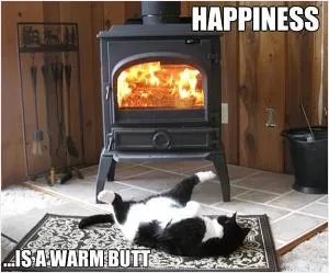 Happiness is a warm butt Picture Quote #1