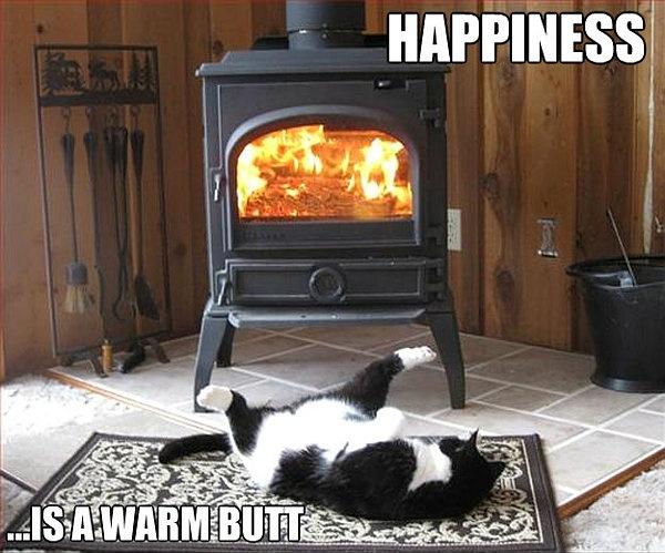 Happiness is a warm butt Picture Quote #1