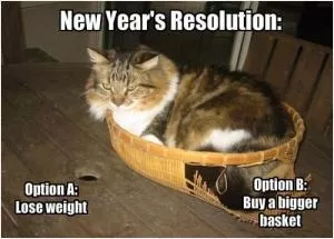 New Year’s resolution. Option A: Lose weight. Option B: Buy a bigger basket Picture Quote #1