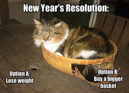 New Year's resolution. Option A: Lose weight. Option B: Buy a bigger basket Picture Quote #1