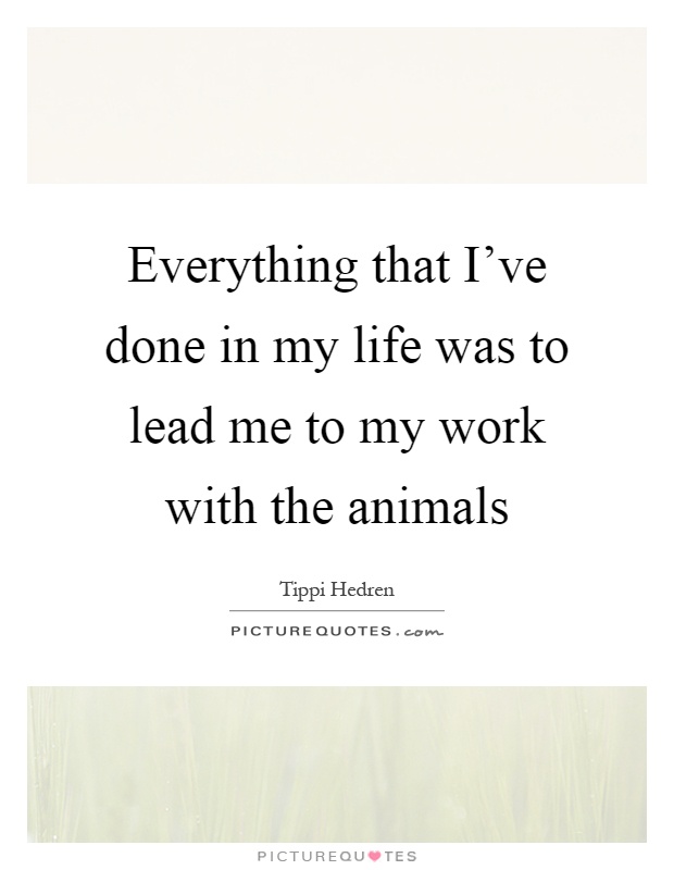 Everything that I've done in my life was to lead me to my work with the animals Picture Quote #1