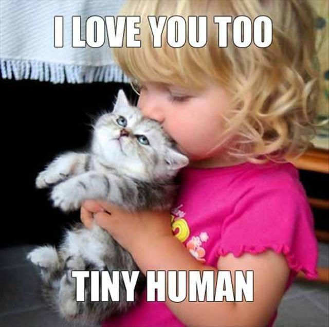I love you too tiny human Picture Quote #1