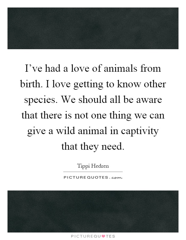 I've had a love of animals from birth. I love getting to know other species. We should all be aware that there is not one thing we can give a wild animal in captivity that they need Picture Quote #1