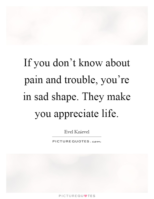 If you don't know about pain and trouble, you're in sad shape. They make you appreciate life Picture Quote #1