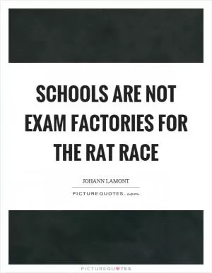 Schools are not exam factories for the rat race Picture Quote #1