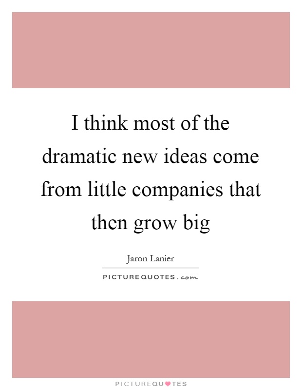 I think most of the dramatic new ideas come from little companies that then grow big Picture Quote #1