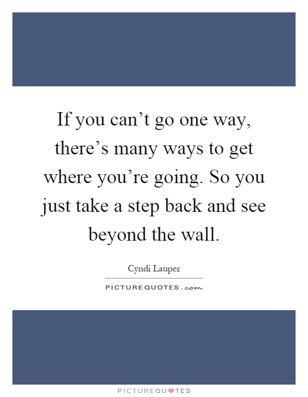 If you can't go one way, there's many ways to get where you're going. So you just take a step back and see beyond the wall Picture Quote #1