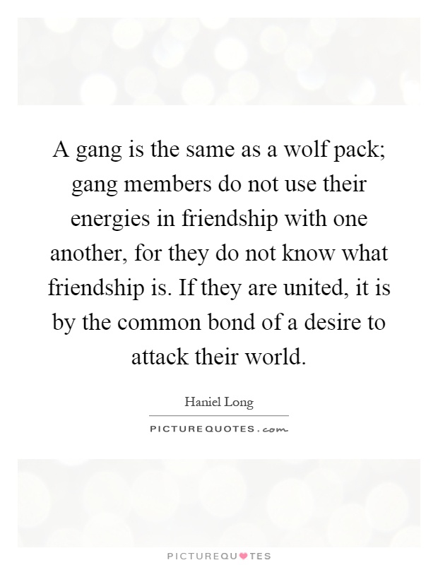 A gang is the same as a wolf pack; gang members do not use their energies in friendship with one another, for they do not know what friendship is. If they are united, it is by the common bond of a desire to attack their world Picture Quote #1