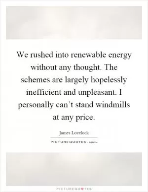 We rushed into renewable energy without any thought. The schemes are largely hopelessly inefficient and unpleasant. I personally can’t stand windmills at any price Picture Quote #1