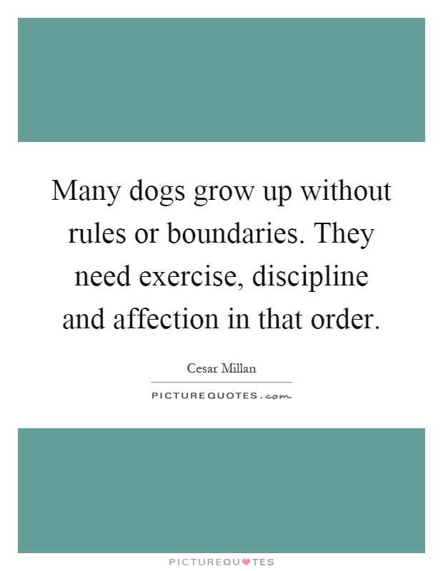 Many dogs grow up without rules or boundaries. They need exercise, discipline and affection in that order Picture Quote #1