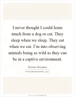 I never thought I could learn much from a dog or cat. They sleep when we sleep. They eat when we eat. I’m into observing animals being as wild as they can be in a captive environment Picture Quote #1