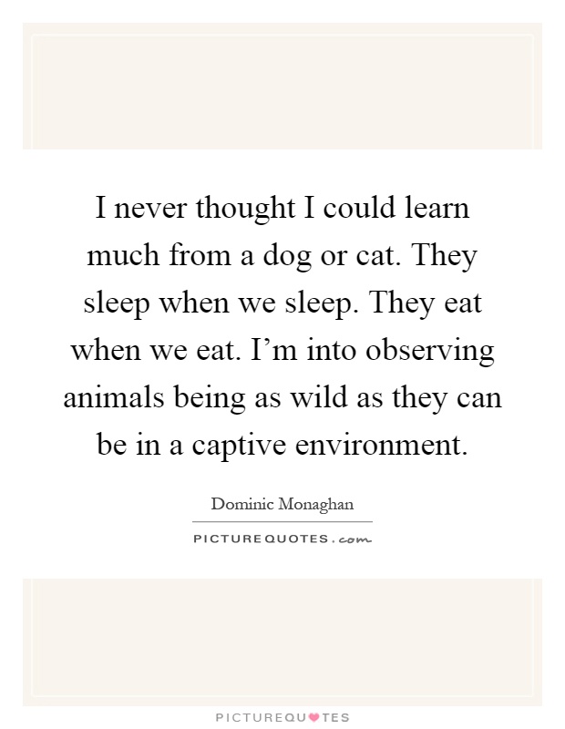 I never thought I could learn much from a dog or cat. They sleep when we sleep. They eat when we eat. I'm into observing animals being as wild as they can be in a captive environment Picture Quote #1