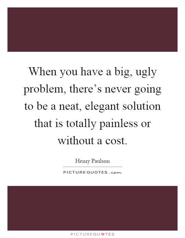 When you have a big, ugly problem, there's never going to be a neat, elegant solution that is totally painless or without a cost Picture Quote #1