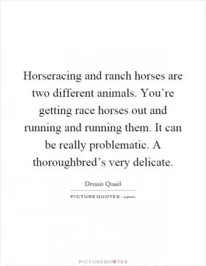 Horseracing and ranch horses are two different animals. You’re getting race horses out and running and running them. It can be really problematic. A thoroughbred’s very delicate Picture Quote #1