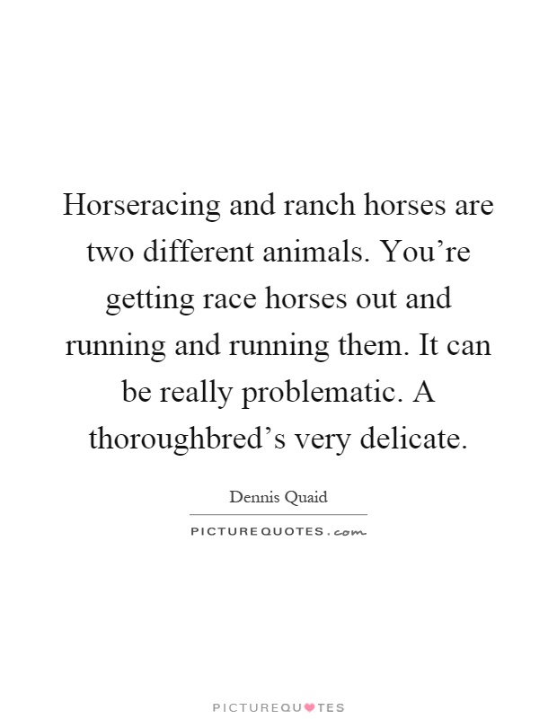 Horseracing and ranch horses are two different animals. You're getting race horses out and running and running them. It can be really problematic. A thoroughbred's very delicate Picture Quote #1