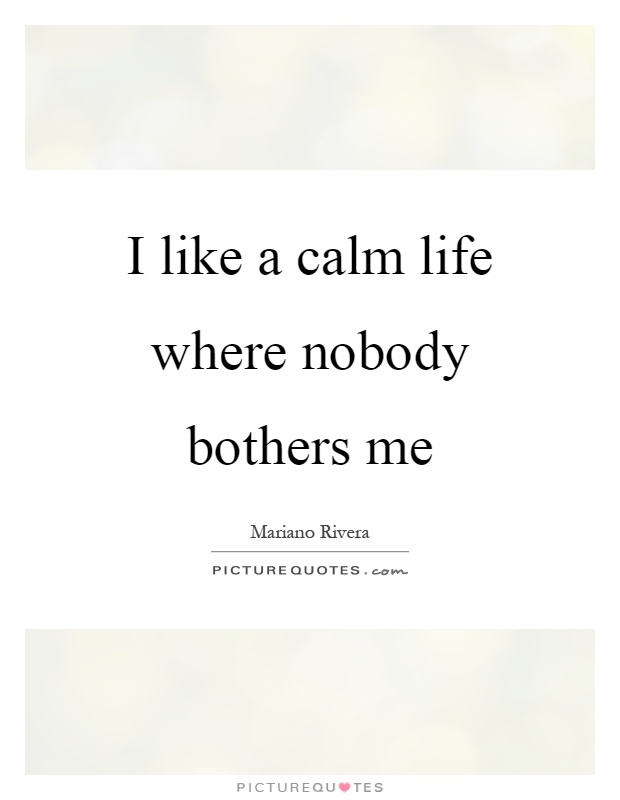 I like a calm life where nobody bothers me Picture Quote #1