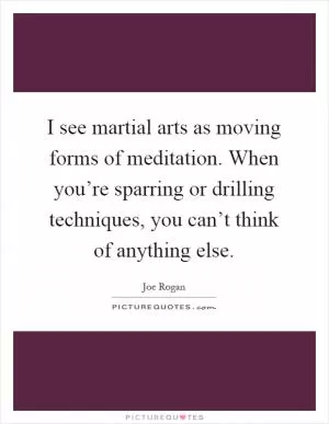 I see martial arts as moving forms of meditation. When you’re sparring or drilling techniques, you can’t think of anything else Picture Quote #1