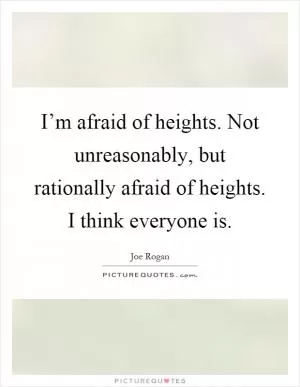 I’m afraid of heights. Not unreasonably, but rationally afraid of heights. I think everyone is Picture Quote #1