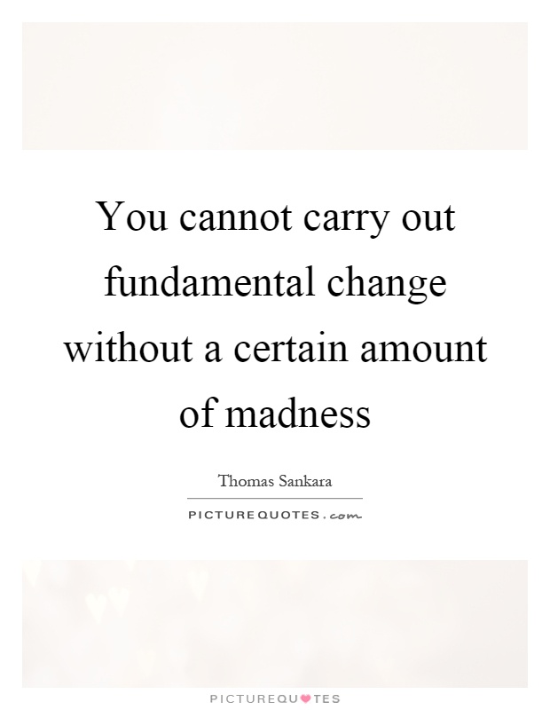 You cannot carry out fundamental change without a certain amount of madness Picture Quote #1