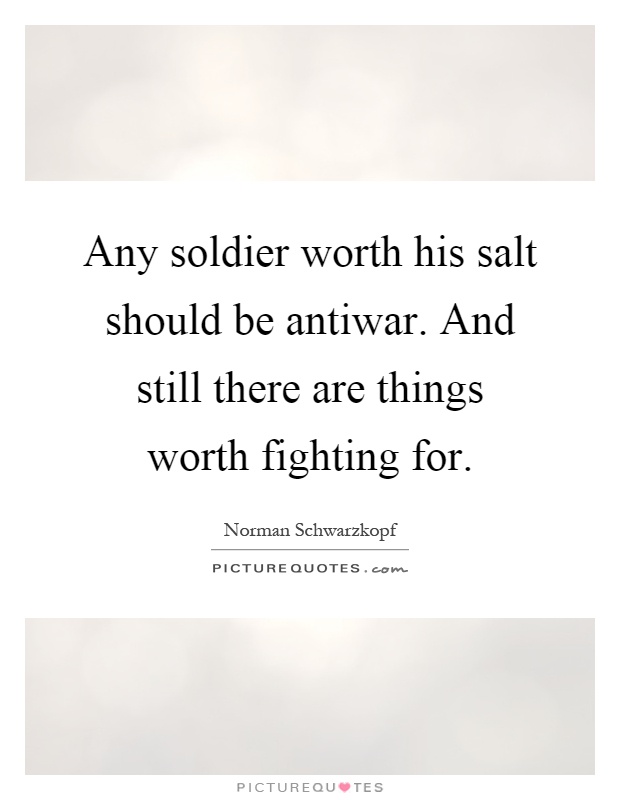 Any soldier worth his salt should be antiwar. And still there are things worth fighting for Picture Quote #1