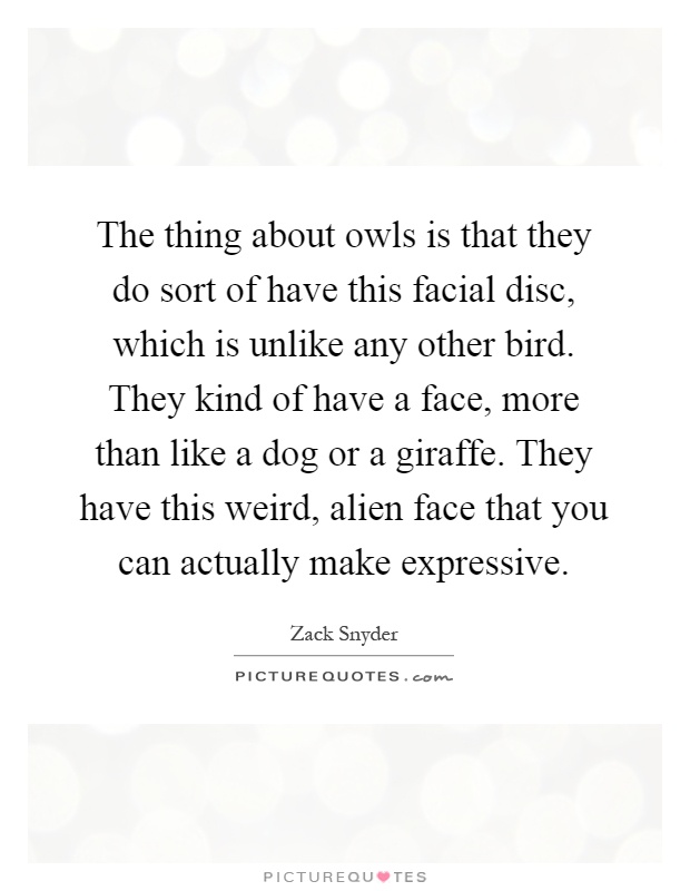 The thing about owls is that they do sort of have this facial disc, which is unlike any other bird. They kind of have a face, more than like a dog or a giraffe. They have this weird, alien face that you can actually make expressive Picture Quote #1