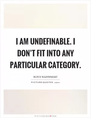 I am undefinable. I don’t fit into any particular category Picture Quote #1