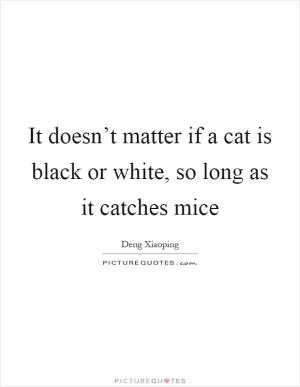 It doesn’t matter if a cat is black or white, so long as it catches mice Picture Quote #1