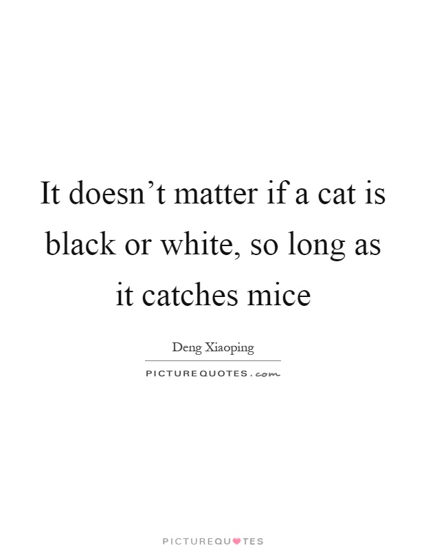 It doesn't matter if a cat is black or white, so long as it catches mice Picture Quote #1