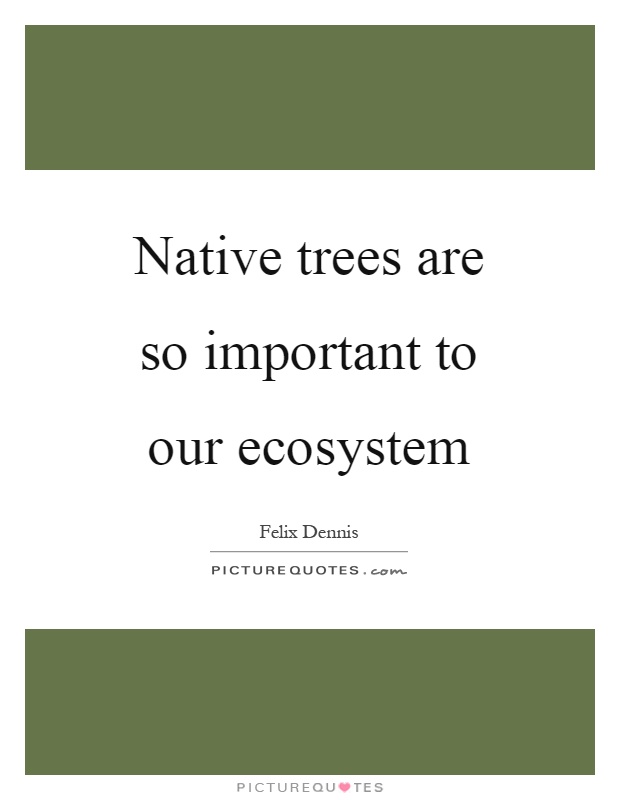 Native trees are so important to our ecosystem Picture Quote #1
