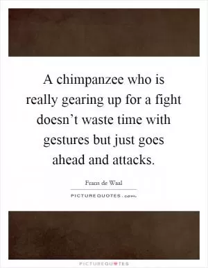 A chimpanzee who is really gearing up for a fight doesn’t waste time with gestures but just goes ahead and attacks Picture Quote #1