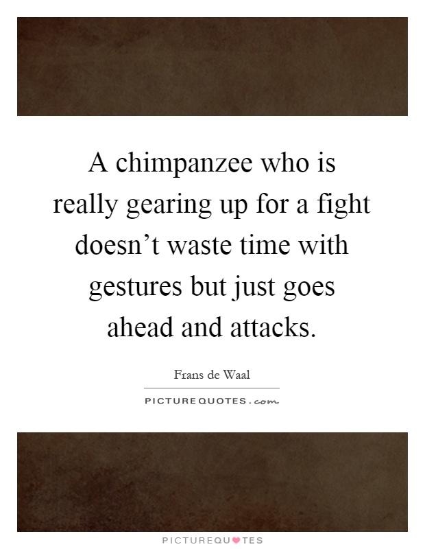 A chimpanzee who is really gearing up for a fight doesn't waste time with gestures but just goes ahead and attacks Picture Quote #1