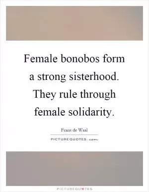 Female bonobos form a strong sisterhood. They rule through female solidarity Picture Quote #1