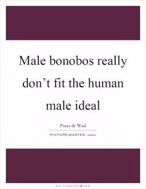 Male bonobos really don’t fit the human male ideal Picture Quote #1