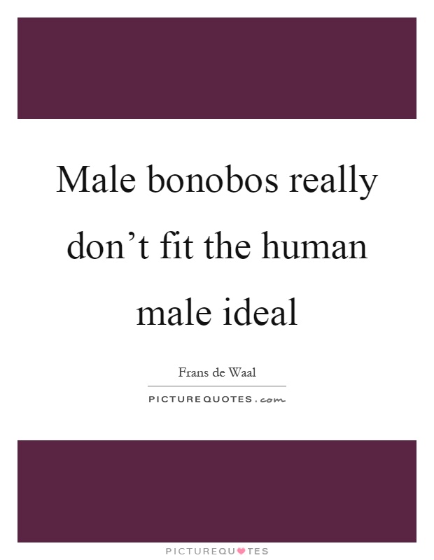 Male bonobos really don't fit the human male ideal Picture Quote #1