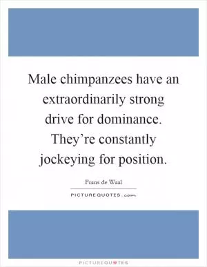 Male chimpanzees have an extraordinarily strong drive for dominance. They’re constantly jockeying for position Picture Quote #1