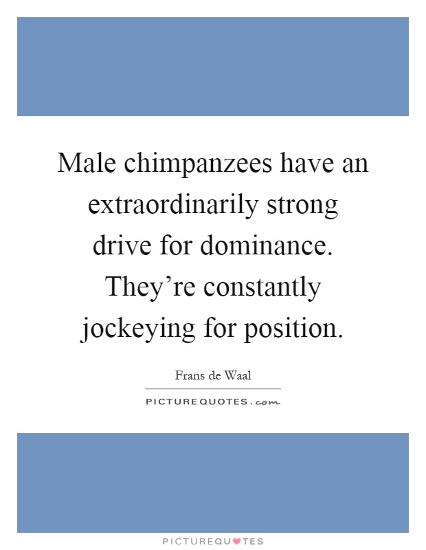 Male chimpanzees have an extraordinarily strong drive for dominance. They're constantly jockeying for position Picture Quote #1