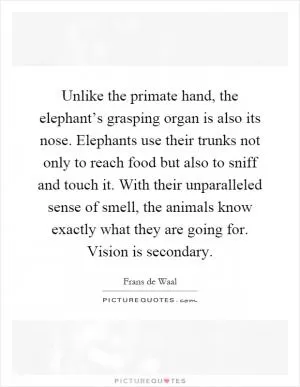Unlike the primate hand, the elephant’s grasping organ is also its nose. Elephants use their trunks not only to reach food but also to sniff and touch it. With their unparalleled sense of smell, the animals know exactly what they are going for. Vision is secondary Picture Quote #1