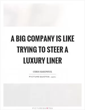 A big company is like trying to steer a luxury liner Picture Quote #1