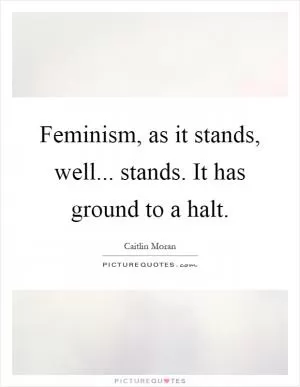 Feminism, as it stands, well... stands. It has ground to a halt Picture Quote #1