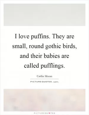 I love puffins. They are small, round gothic birds, and their babies are called pufflings Picture Quote #1